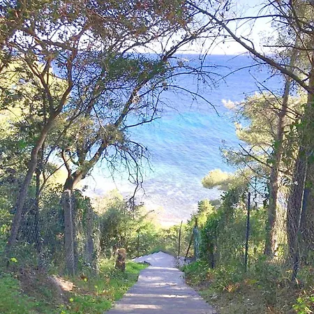 Splendide Villa Le Lavandou Aiguebelle Beach Διαμέρισμα *